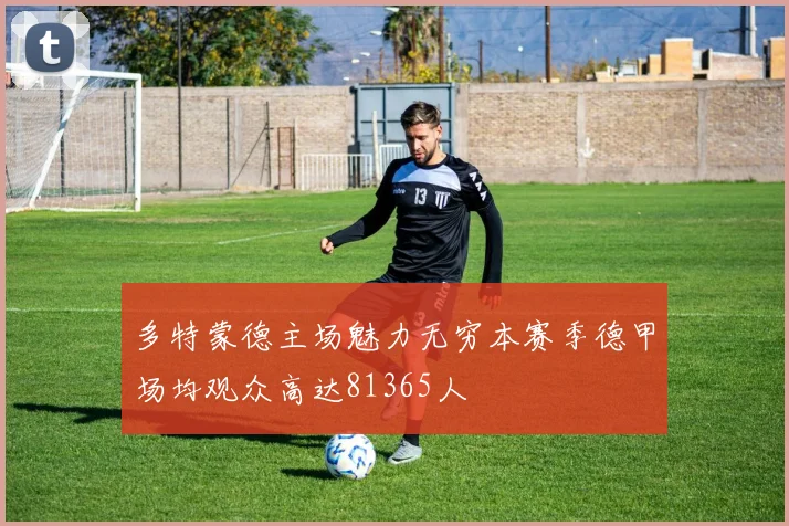 多特蒙德主场魅力无穷本赛季德甲场均观众高达81365人