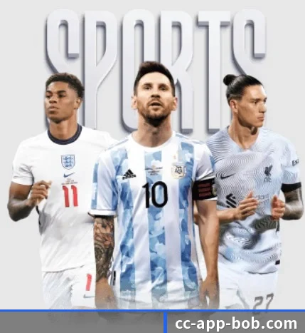 BOB体育围绕看球场景设计的核心服务(BOBSPORTS)